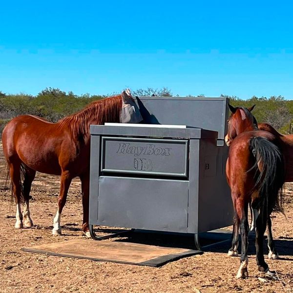 How HayBox Makes Horse Feeding a Breeze AUTOMATIC HORSE FEEDERS